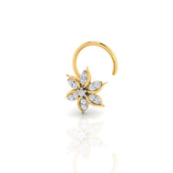 Gold Nose Pins