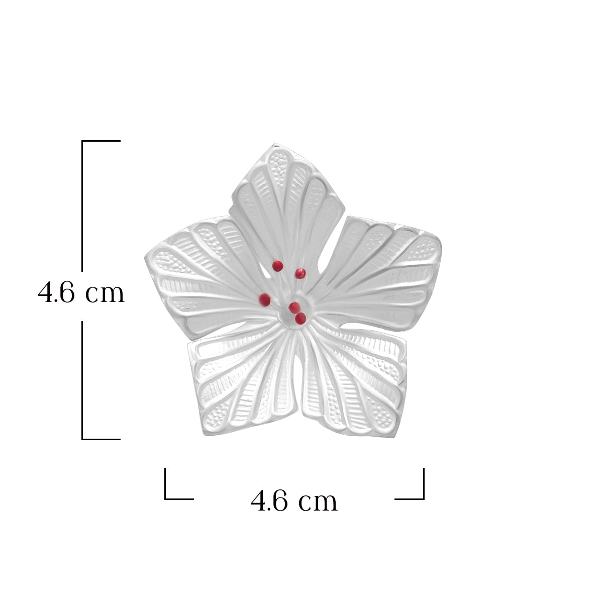 Jaswand Flower
