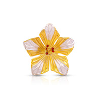 Paan, Fruits & Flowers