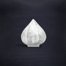 Grizzled Glow Silver Modak