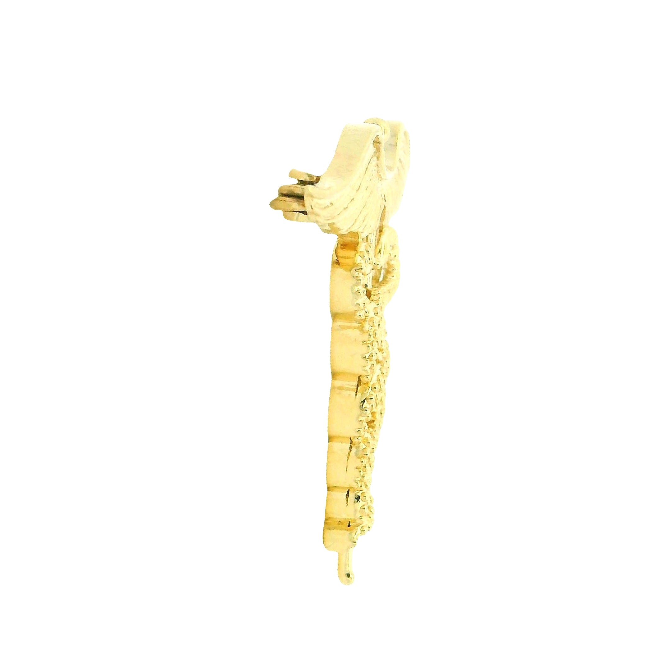 Shine in Sauve Gold Brooch for Men