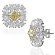 Elegant Saga Earrings