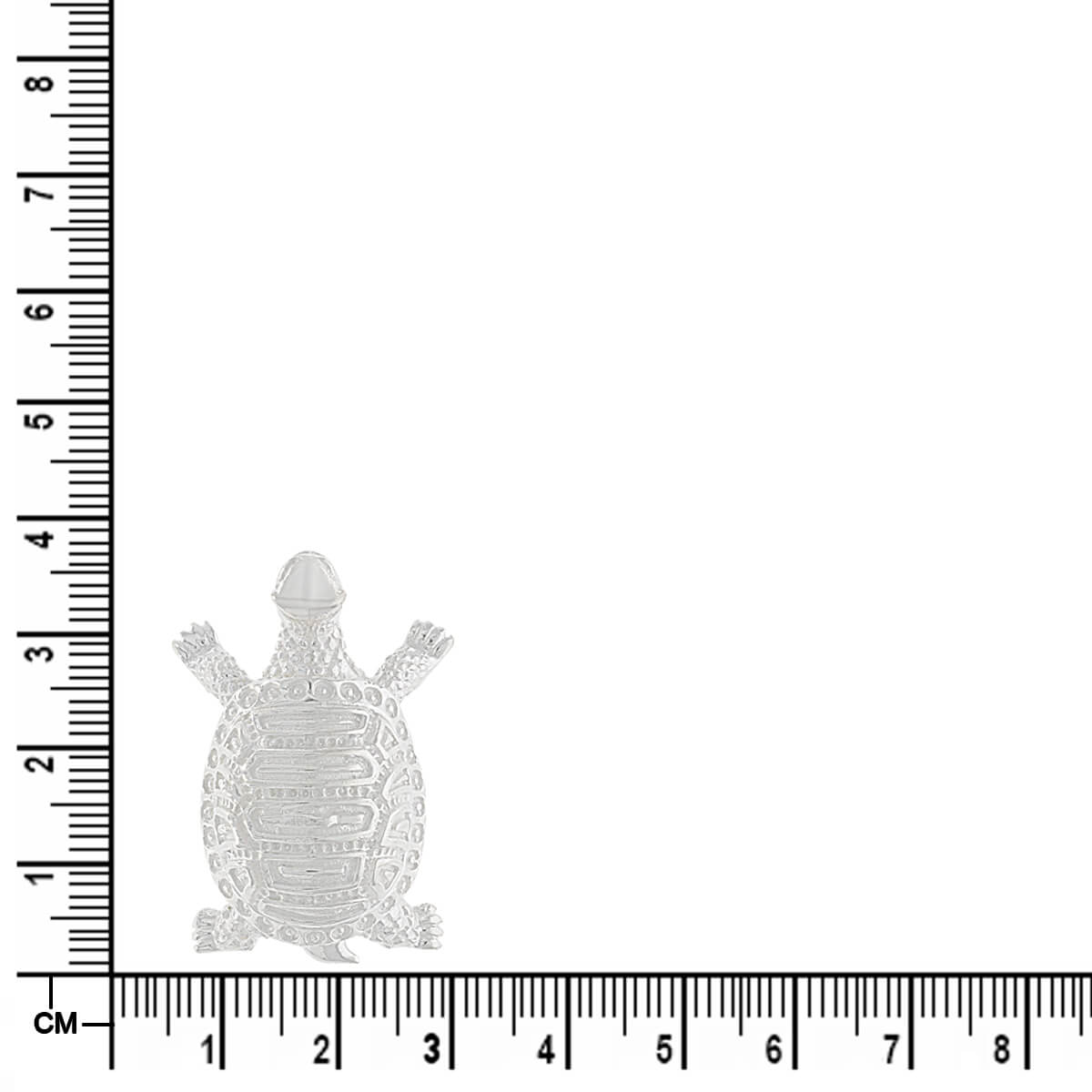 Sacred Shine Silver Tortoise Idol