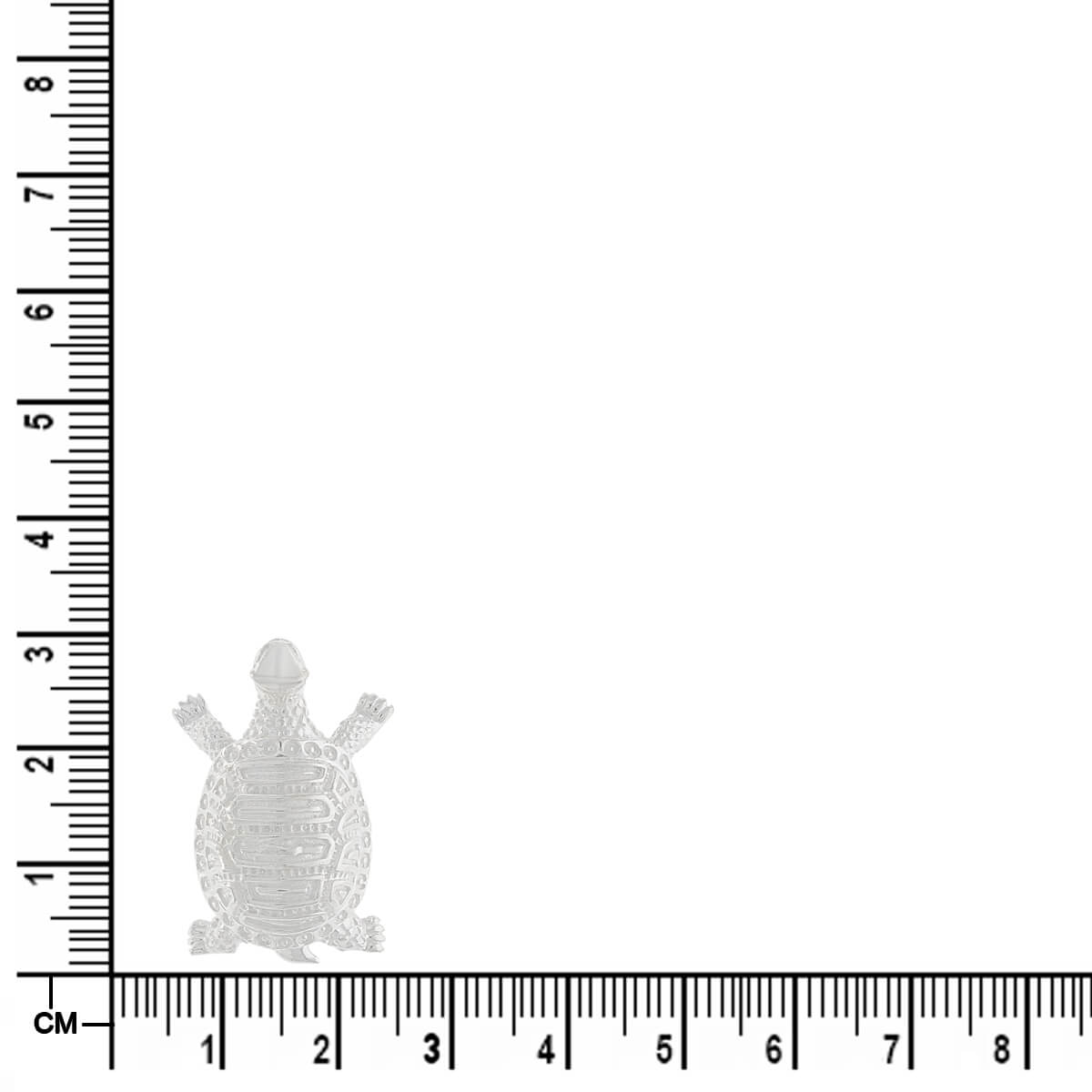 Serene Shine Silver Tortoise Idol