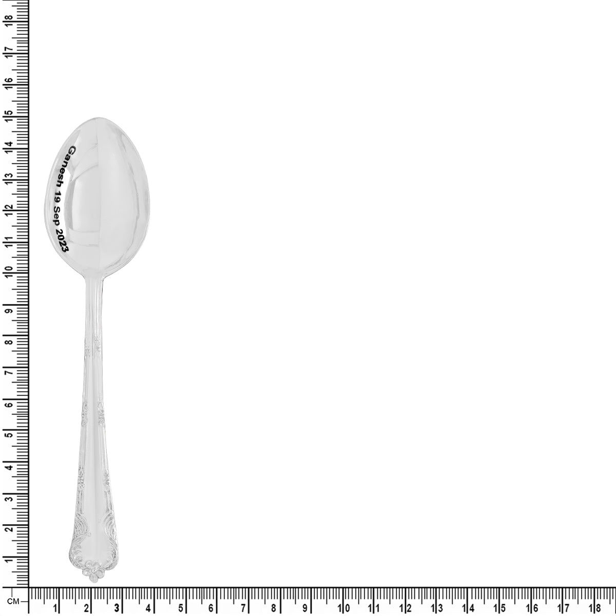 Posh Sparkling Silver Spoon