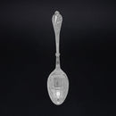 Polished Radiant Silver Spoon
