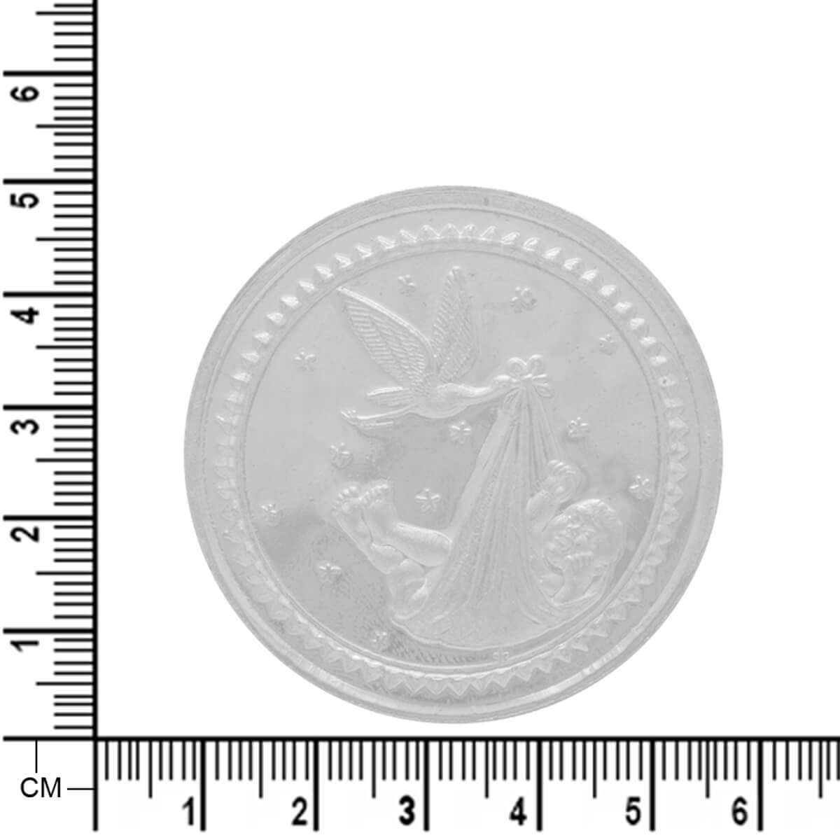Exquisite Shimmer Silver Coin