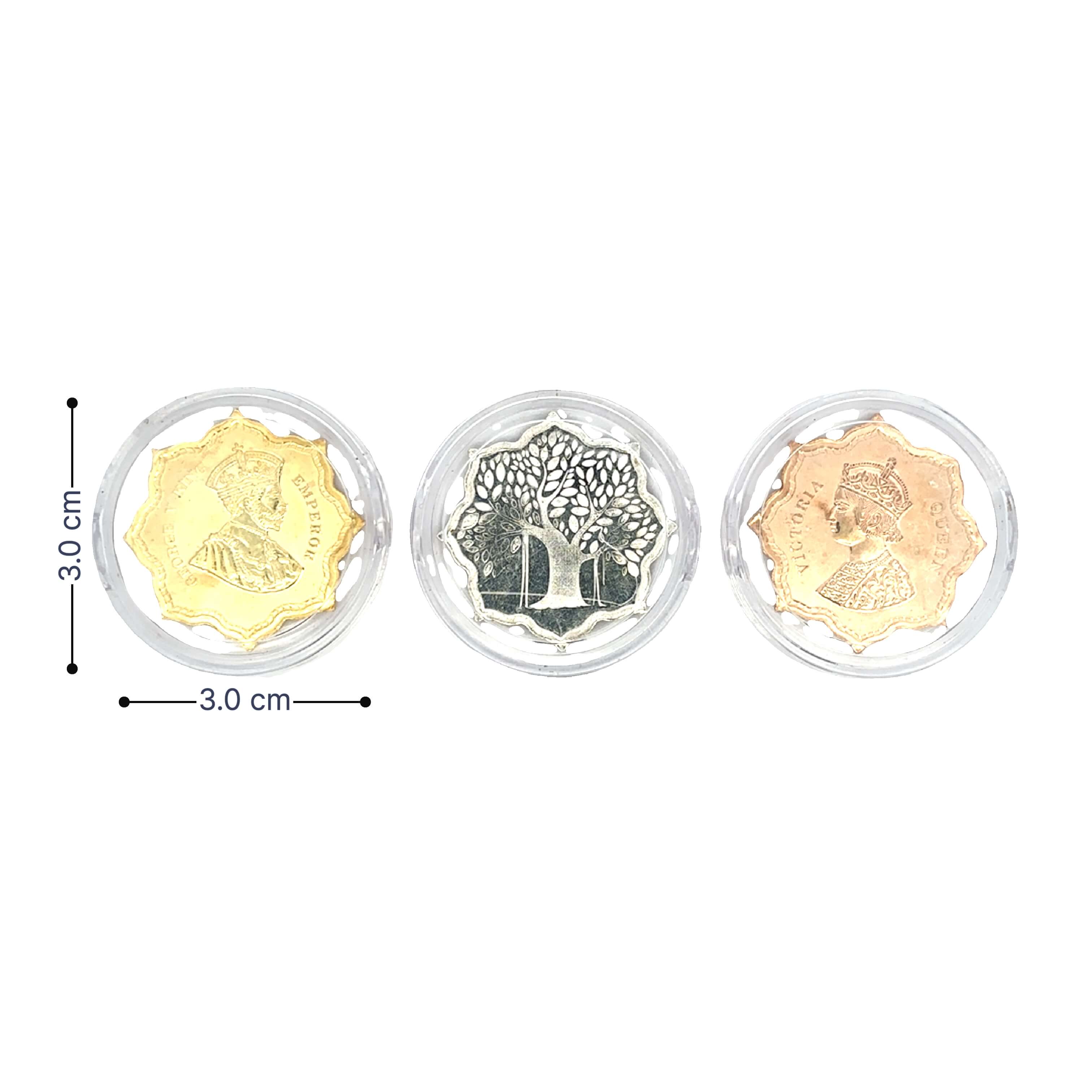Vibrant Elegance Silver Coins
