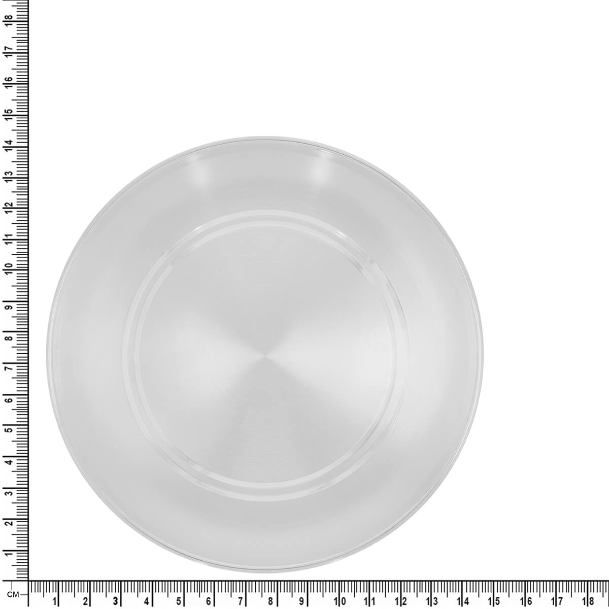 Polished Radiant Silver Dish