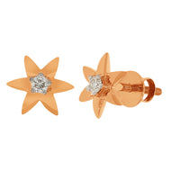 Chic Star Minimal 14K Gold Stud Earrings