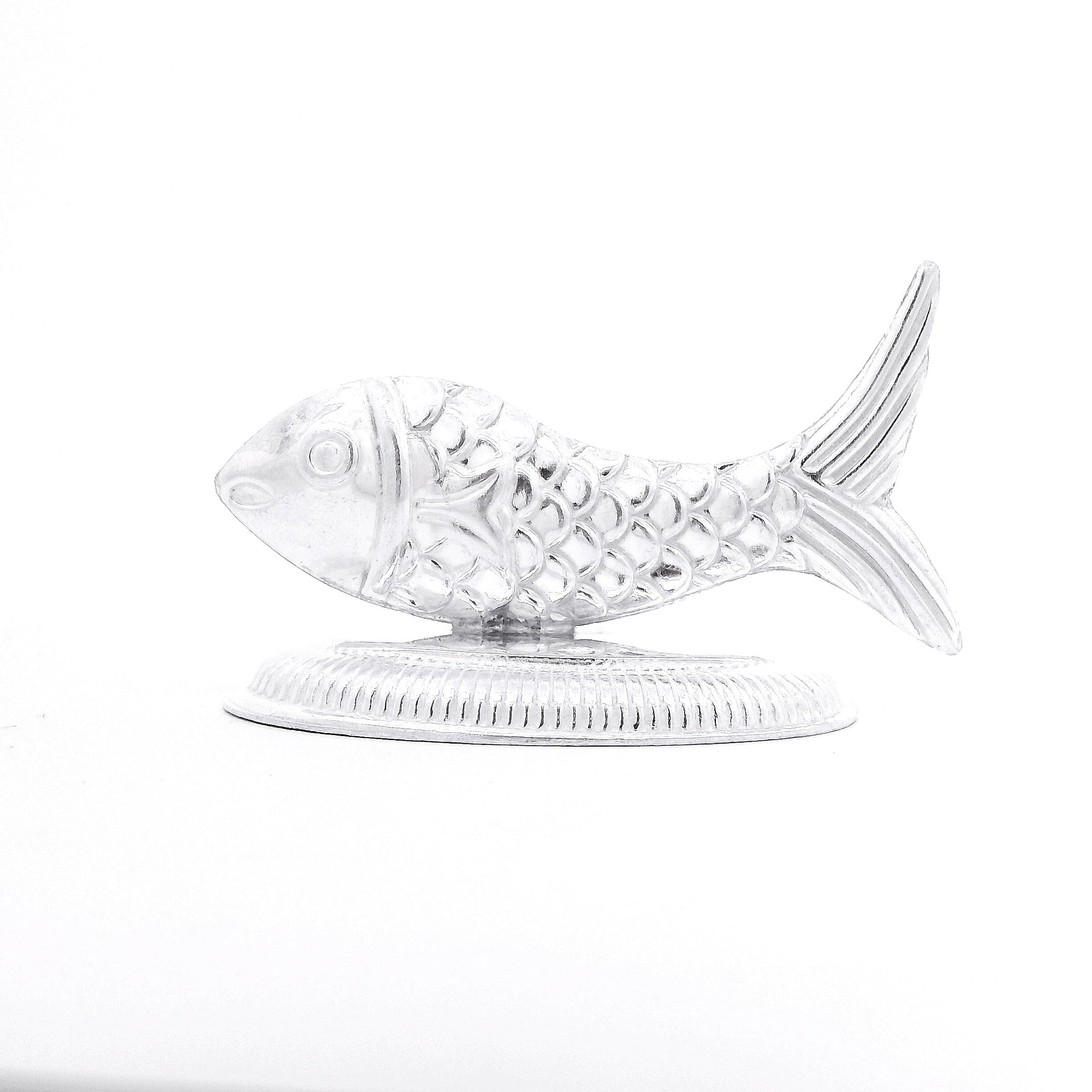 Silver Fish