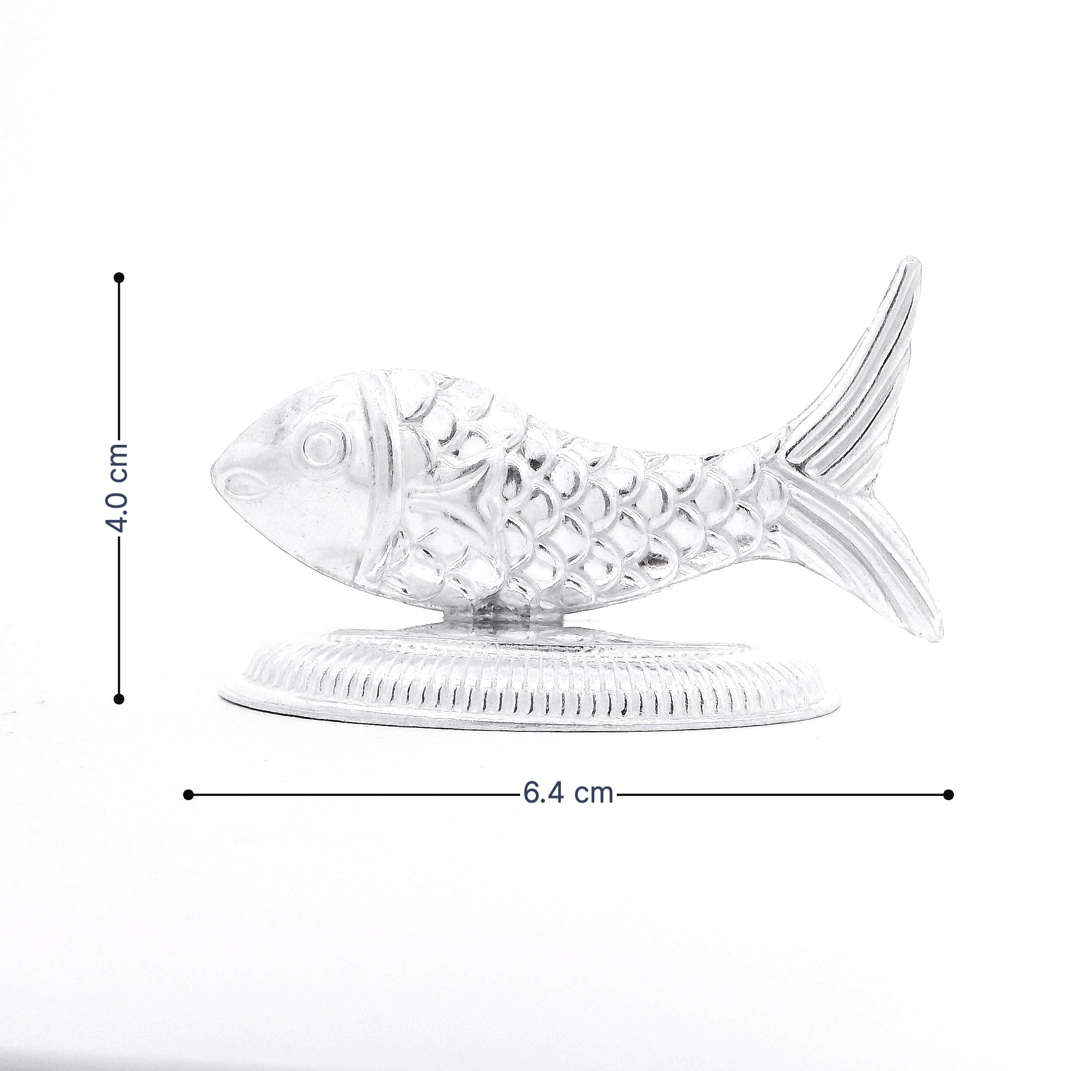 Silver Fish