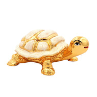 Premium Golden Turtle for Gifting