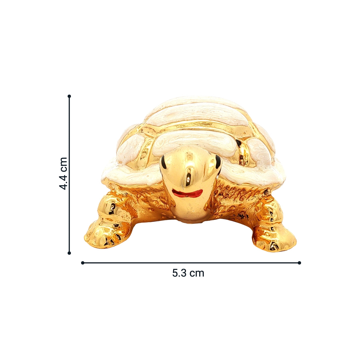 Premium Golden Turtle for Gifting