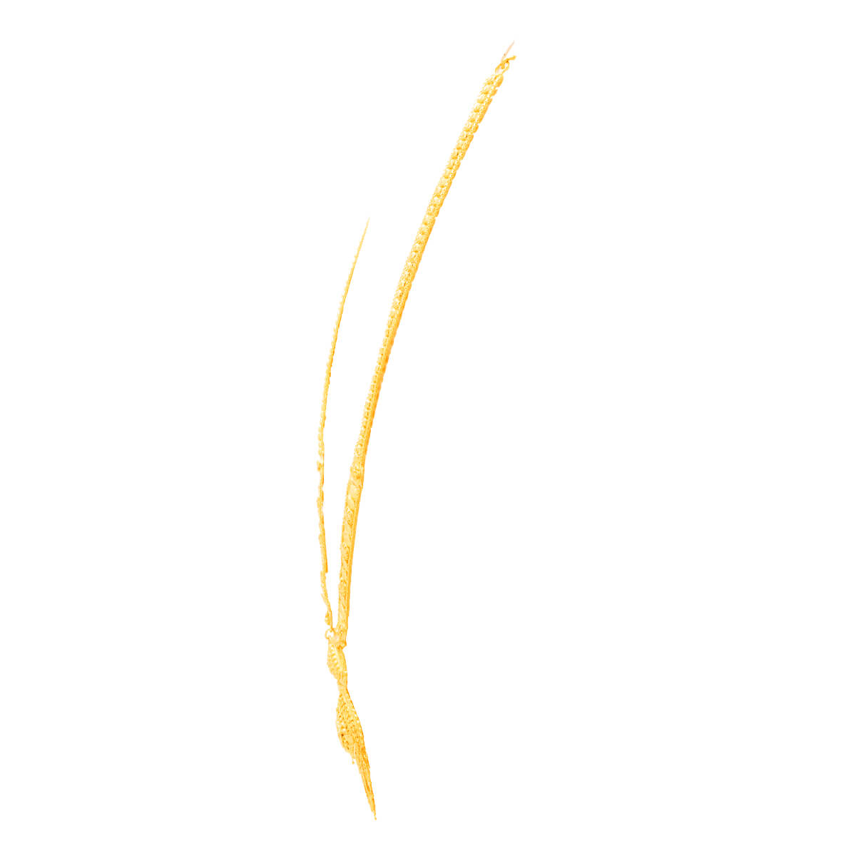 Magnificient Long Gold Necklace