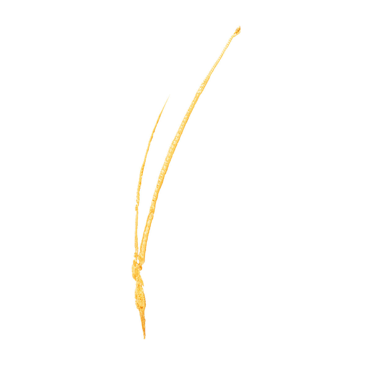 Marvelous Long Gold Necklace