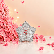 Jaswand Flower