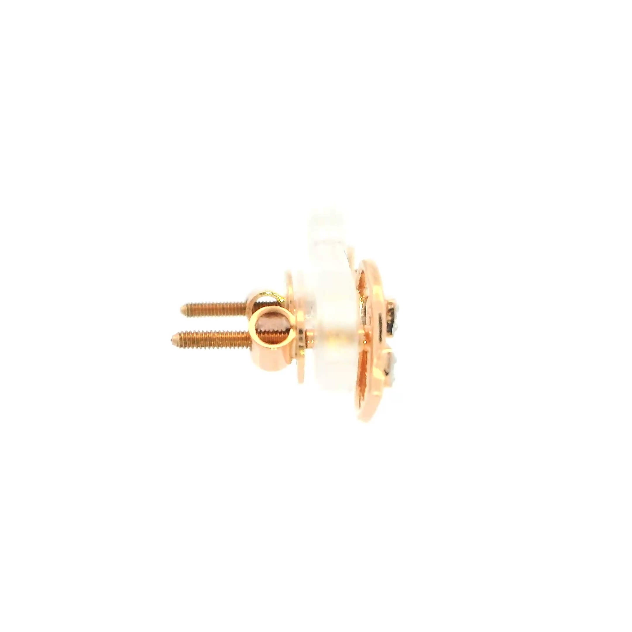 Luxuriant Charm 14K Diamond Studs