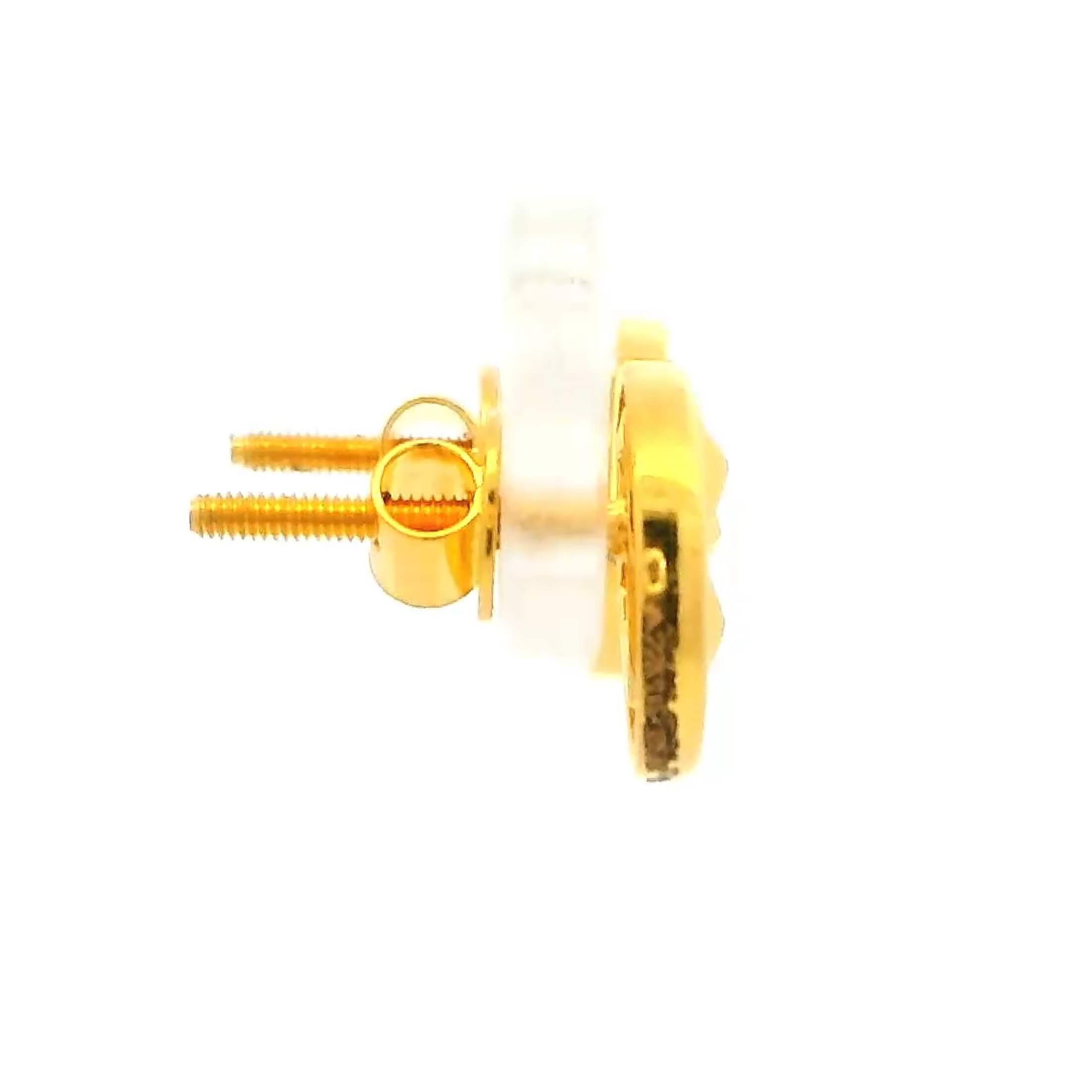 Trendy Shine Gold Studs