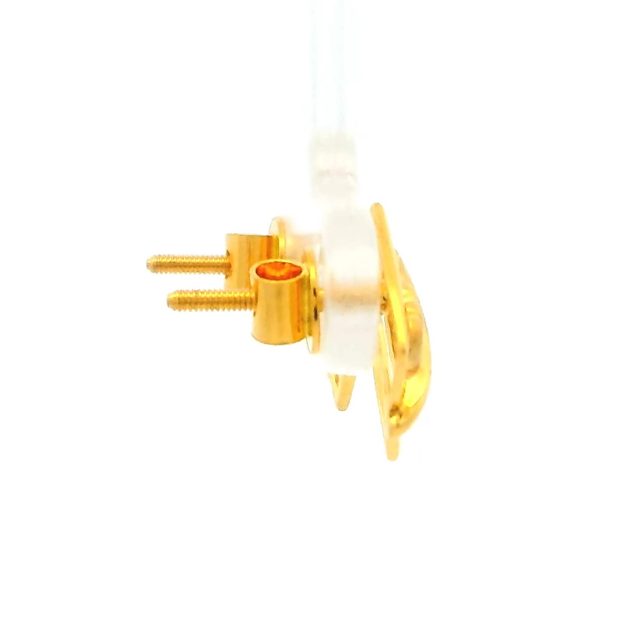 Fancy Leaflet Gold Studs
