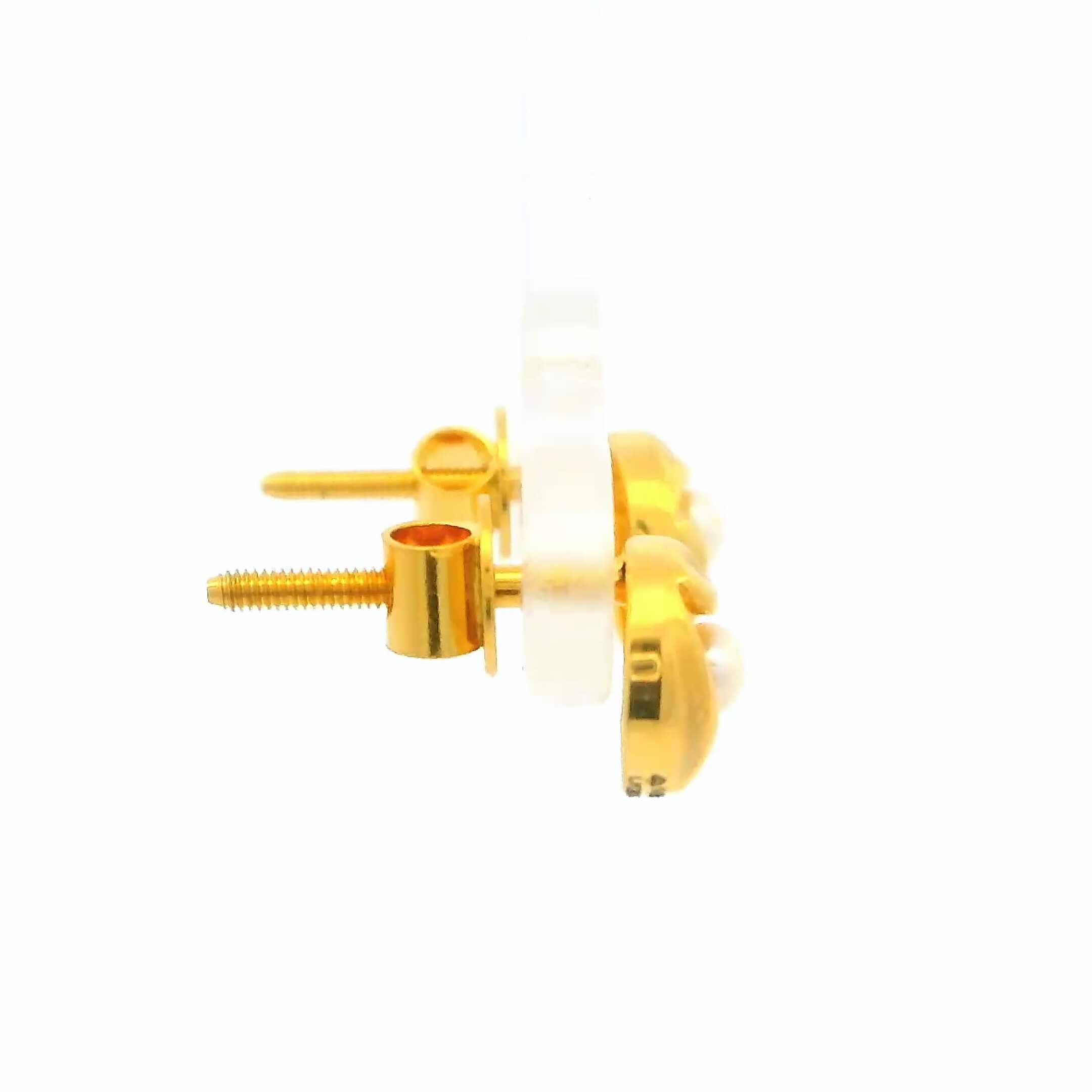 Subtle Shine 14K Gold Studs