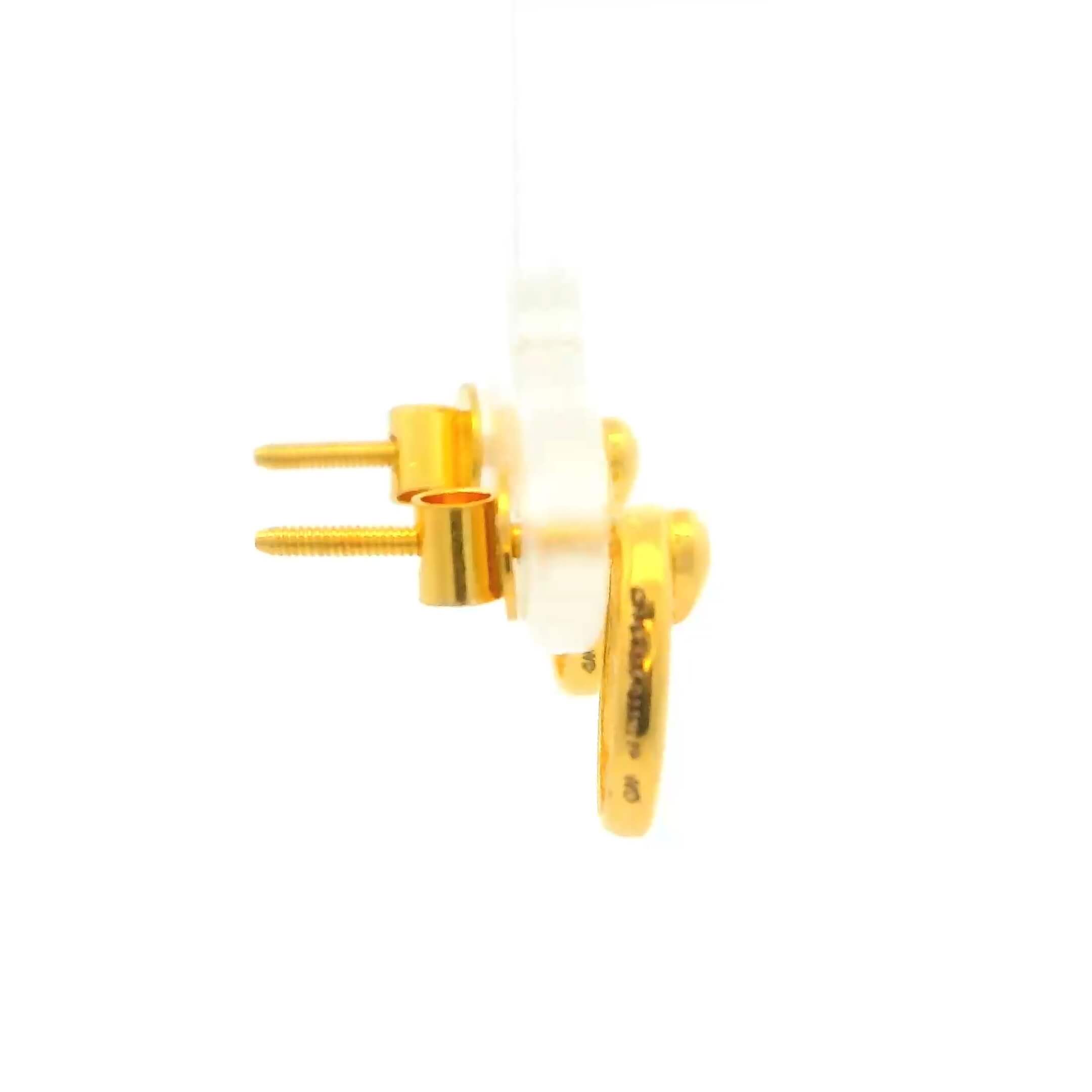 Daily Glam Gold Studs