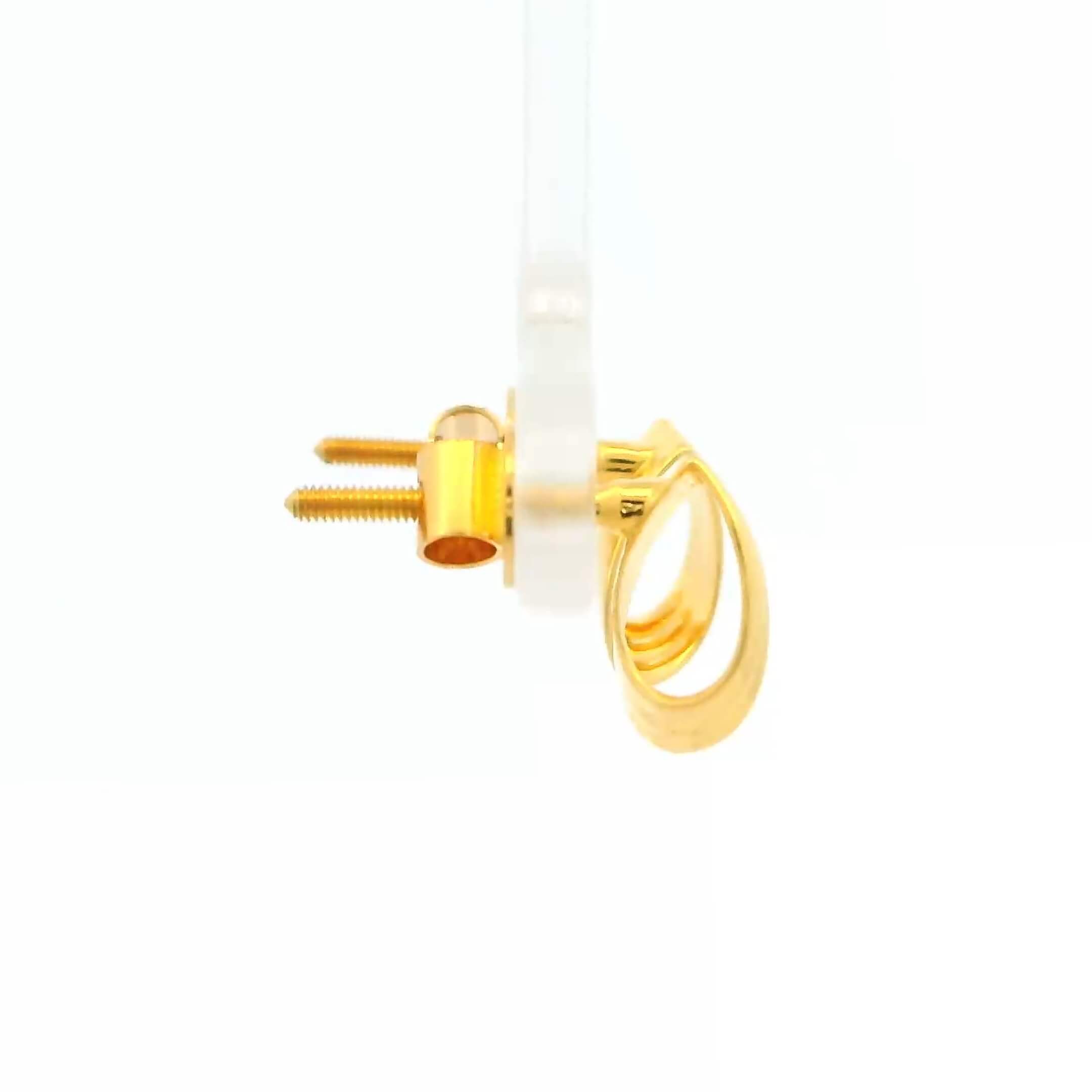 Glossy Charm Gold Earrings for Women