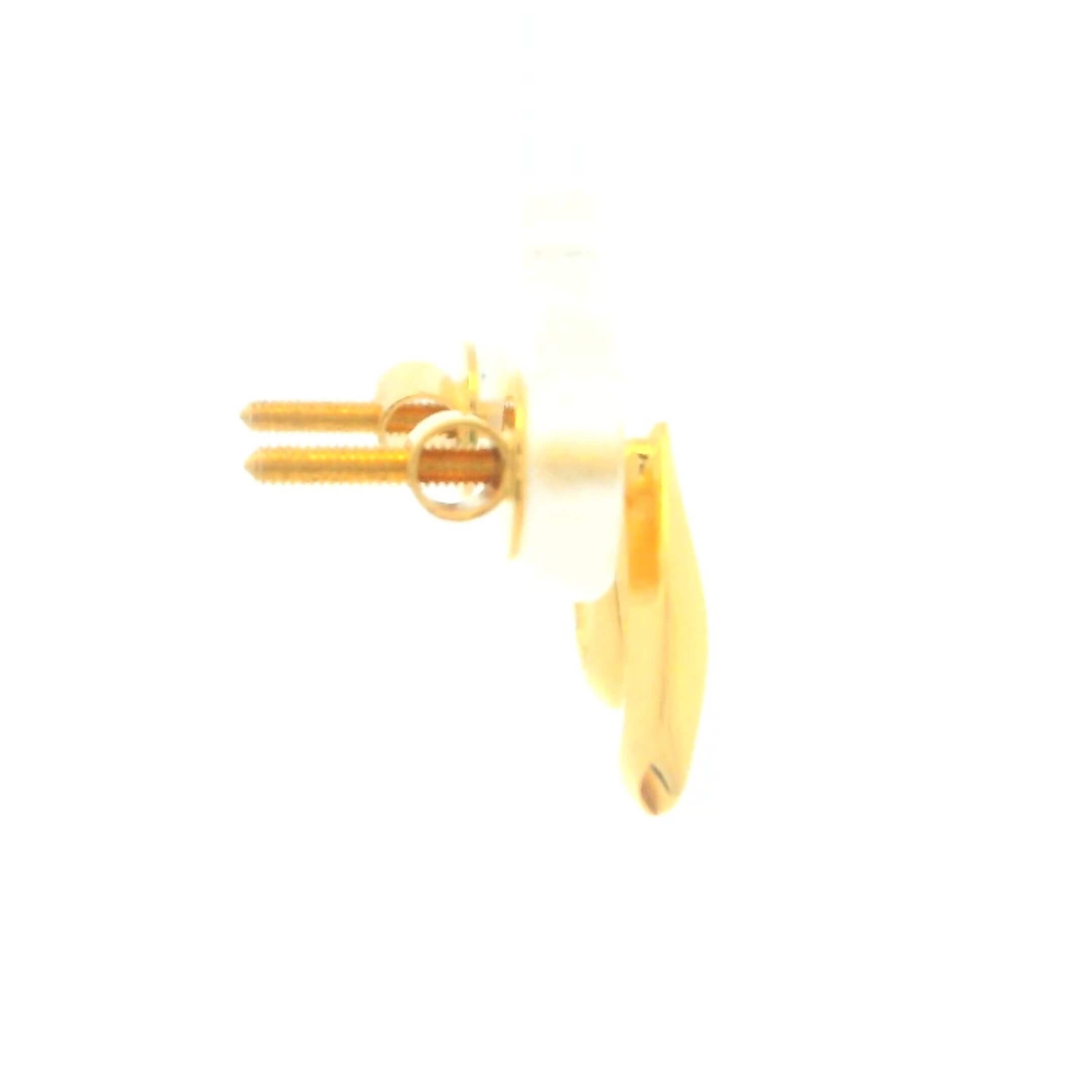 Modern Shine Gold Earrings for Women