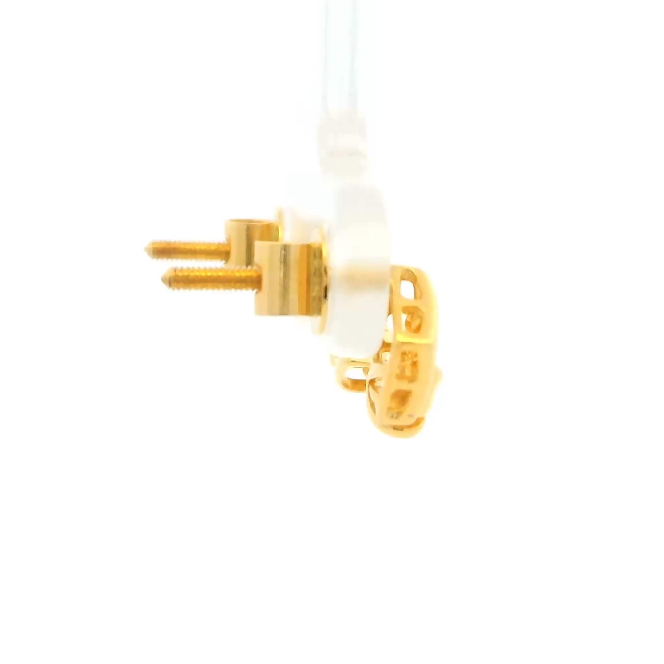 Everyday Glimmer Gold Earrings for Women