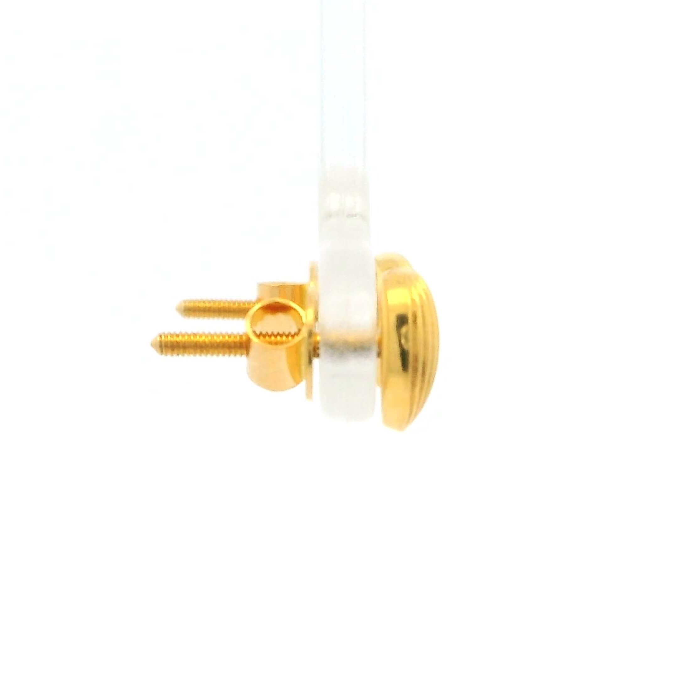 Daily Glow Gold Earrings for Women
