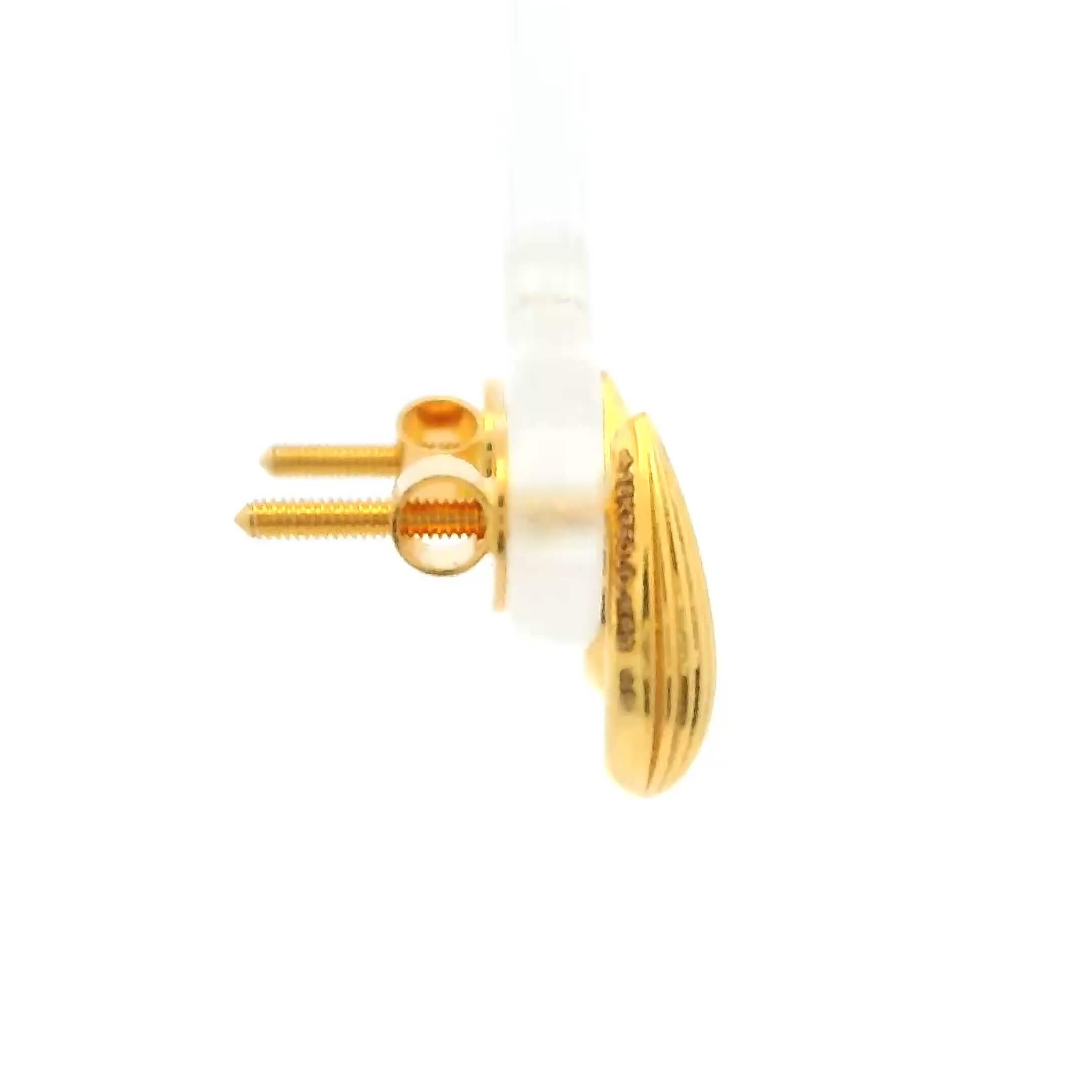 Modest Glow Gold Earrings for Women