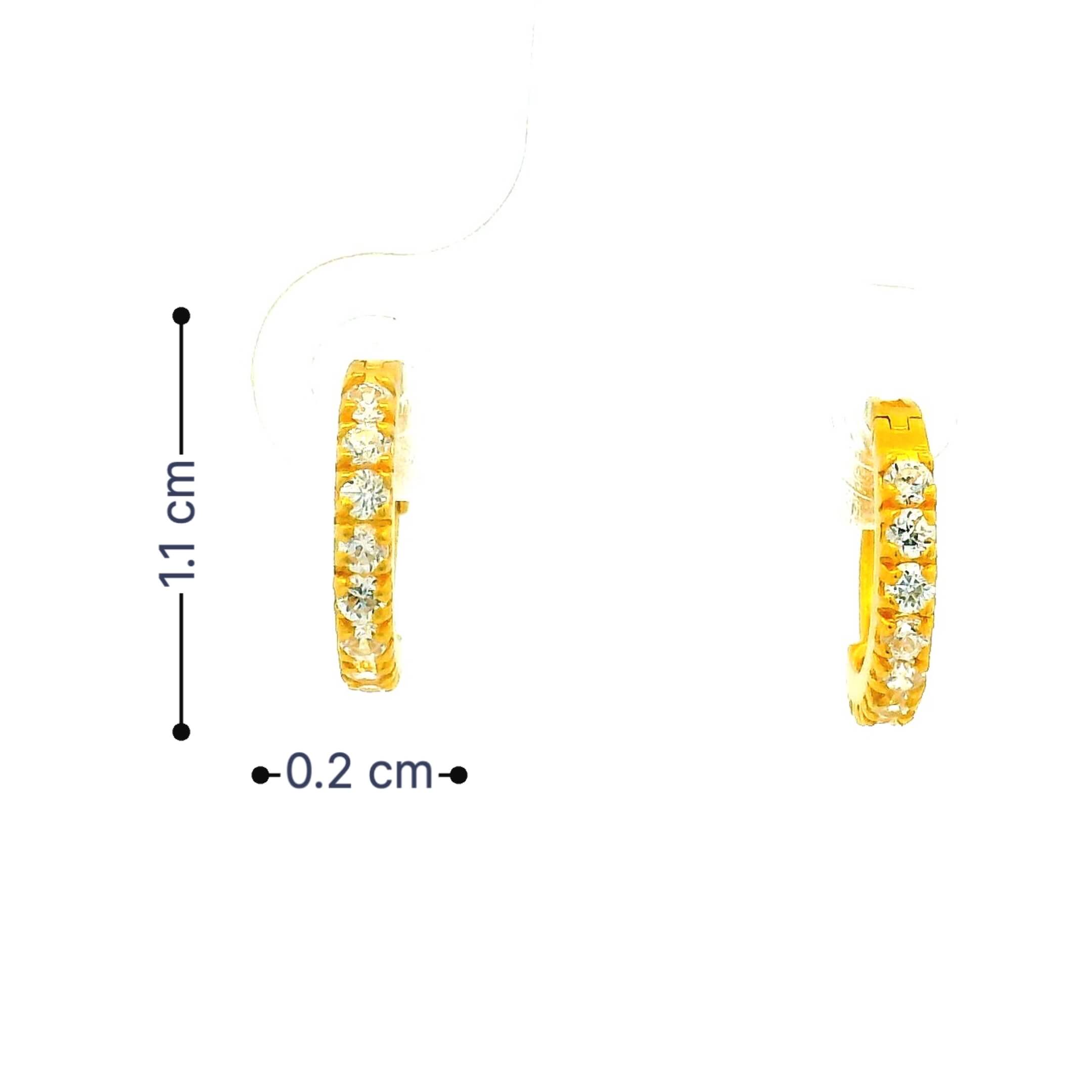 Sleek Shine Gold Earrings for Women