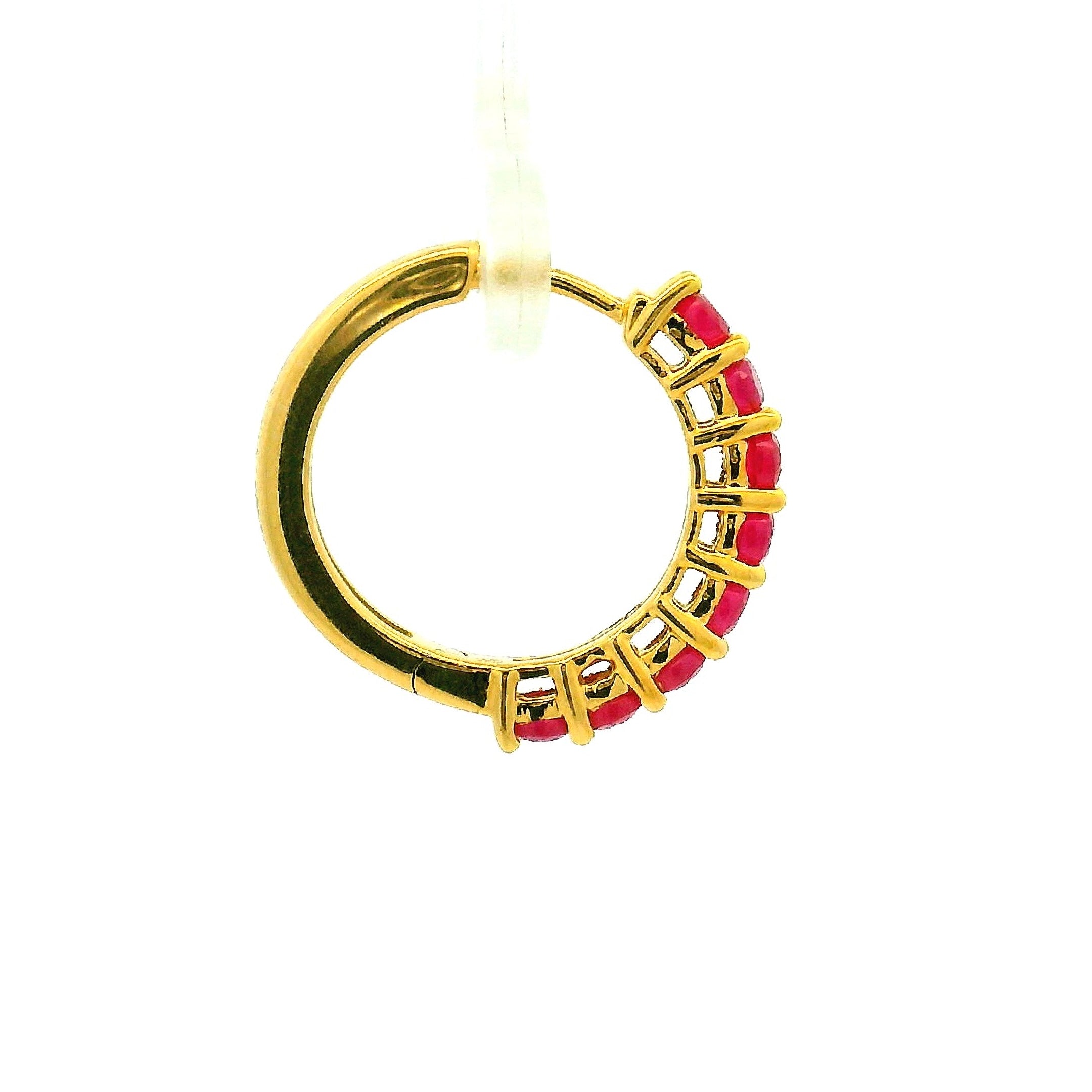 Shiny Scarlet Colorstone Hoops