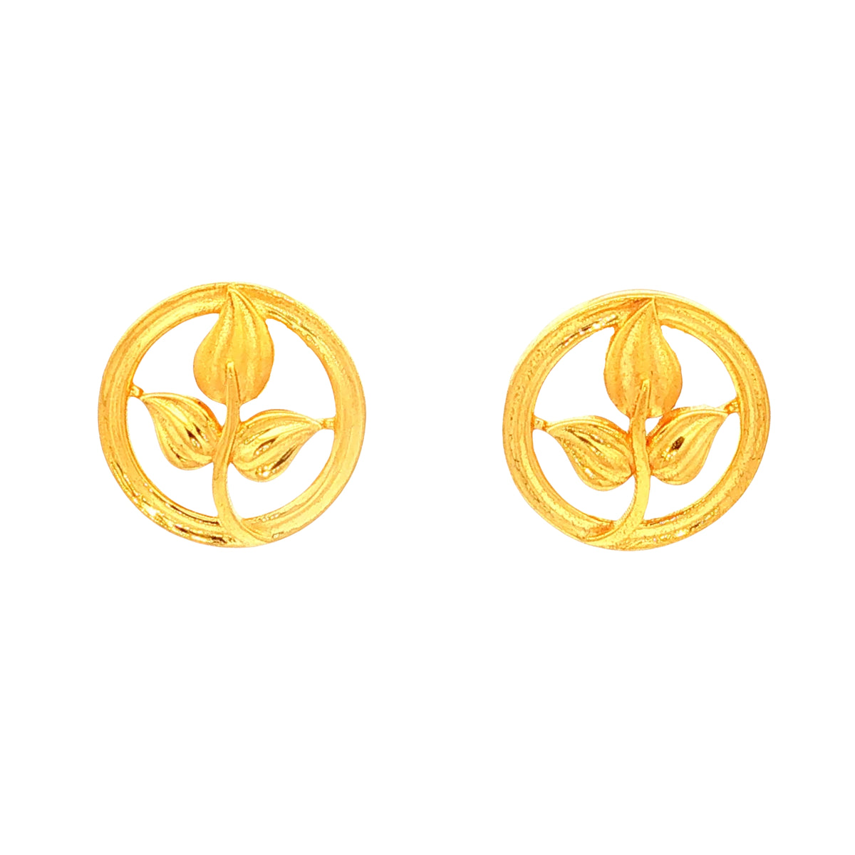 Gold Earrings