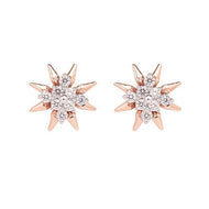 Starfish Elegance Diamond Studs