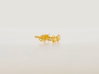 Exclusive Shine 22K Gold Studs