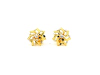 Stupendous Floral Gold Studs