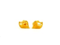 Fascinating Gleam Gold Studs