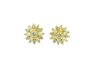 Dazzling Flower Cluster Gold Plated Earrings