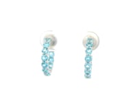 Azure Shine Gold Earrings