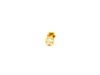 Gold Nosepin