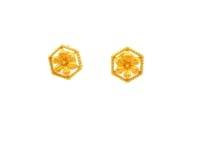 Gold Earrings