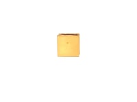 Mens Gold Earring