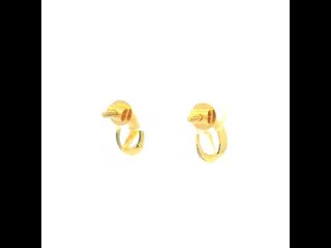 Modern Shine Gold Earrings for Women