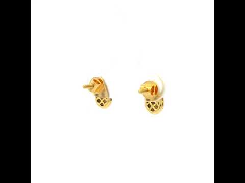 Modest Glow Gold Earrings for Women