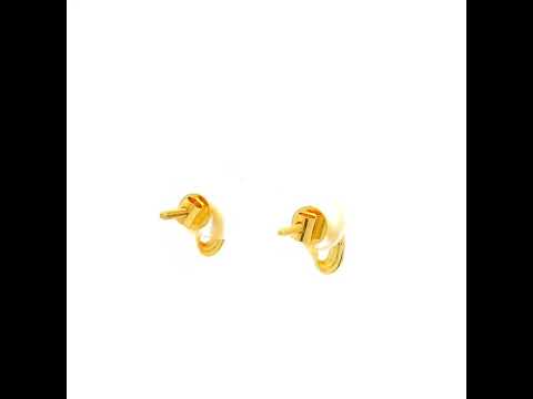 Dainty and Shiny Gold Studs