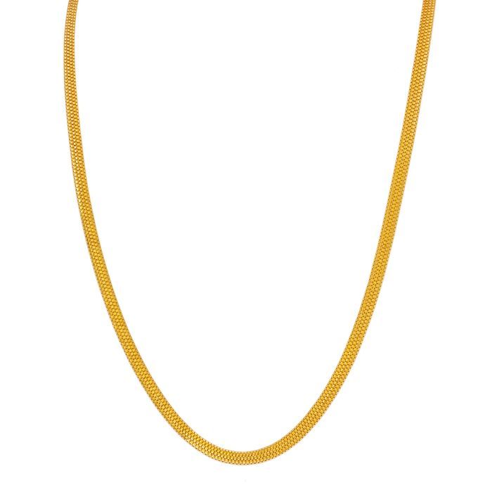 Gold Chain with Free Gold Coin