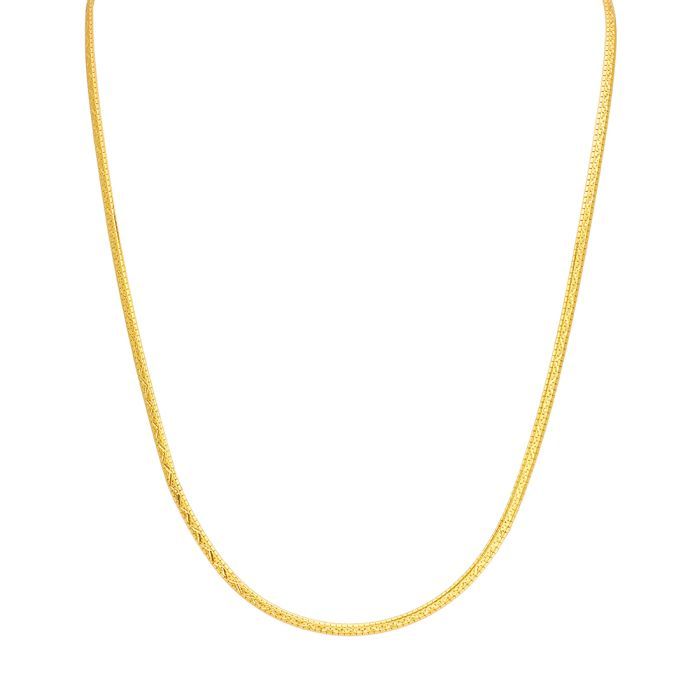 Gold Chain with Free Gold Coin