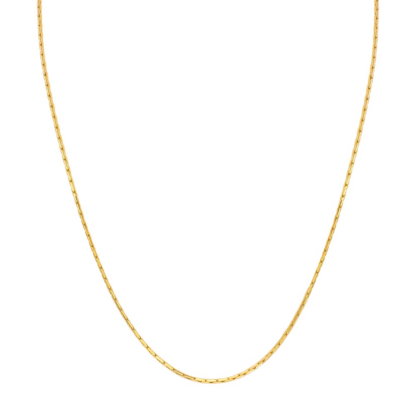 Gold Chain with Free Gold Coin